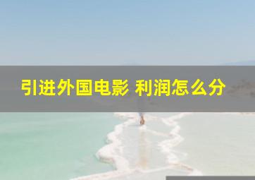 引进外国电影 利润怎么分